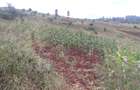 64,000 ft² Land at Kiambu Riabai - 15