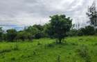 Commercial Land in Mtwapa - 8