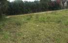 1 ac Residential Land in Ongata Rongai - 12
