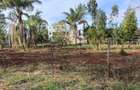 Residential Land at Kiambu Road - 7