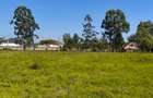 Residential Land at Marula Road - 6