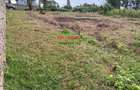 0.05 ha Residential Land in Kikuyu Town - 9