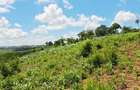 Land at Mtwapa Mtepeni - 8