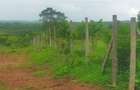 Land in Kilifi County - 11