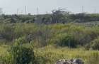 Land in Watamu - 9