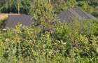 505 ha Residential Land at Kisumu Riat - 12