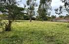 Land in Karen - 4