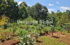 4 Bed House with En Suite in Kitisuru - 1