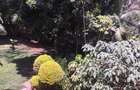 4 Bed House with En Suite at Lavington Green - 8