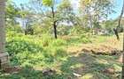 Residential Land in Spring Valley - 2