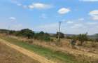10 ac Land at Maguguni - 3