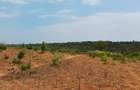 Land in Kilifi - 15
