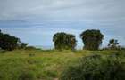 5.2 ac Land at Nyali Centre - 8