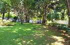 5 Bed House with En Suite in Tigoni - 19