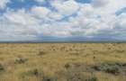 11.5 ac Land at Kariunga - 1