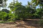 1 ac Land at Kikambala - 3