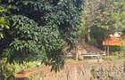4 Bed Villa with En Suite at Diani Close - 7
