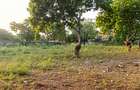 Land in Nyali Area - 17