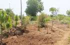 Land at Vipingo - 3