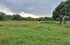 5 ac Residential Land at Nanyuki - 7