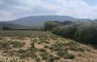 1,000 ac Land at Suswa - 3