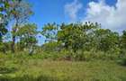 7 ac Land at Kikambala - 5