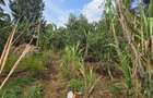 Land at Next To Tilisi Estate - 6