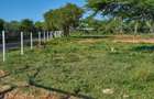505 ac Land at Maiyan Road - 2