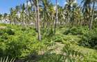 Land in Malindi - 1