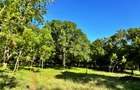73.6 ac Land at Vipingo Kuruwitu Beach - 11