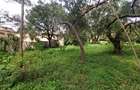 Residential Land at Lavington Green - 17