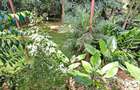 3 Bed House with Garden in Kilimani - 2