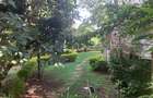 Residential Land at Manyani East - 3