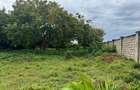 10 ac Land in Vipingo - 1