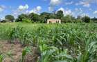 505 m² Land at Mavueni - 10