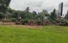 Land in Lavington - 3