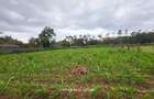 0.5 ac Land in Ridgeways - 2