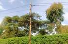 500 m² Residential Land at Riu-Nderi - 4