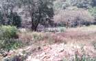 Residential Land at Off Muthaiga Road - 3