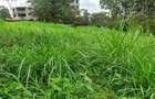 0.5 ac Land at Ruaka Town - 1