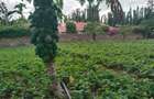 0.25 ac Land at Ls221 - 4