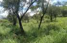 10.8 ac Land at Mombasa Road - 7