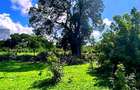 167.5 ac Land at Kuruwitu Beach - 5