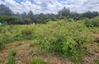 0.2 ha Commercial Land at Merisho Road - 3