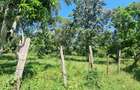 25 ac Land at Mtwapa - 19