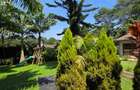 4 Bed House with En Suite in Kyuna - 5