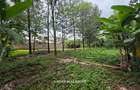 0.5 ac Land in Kitisuru - 4