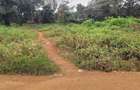 0.75 ac Land at Thindigua - 2