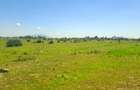 0.125 ac Land at Juja - 9