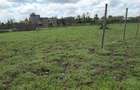 0.113 ac Residential Land in Ongata Rongai - 2